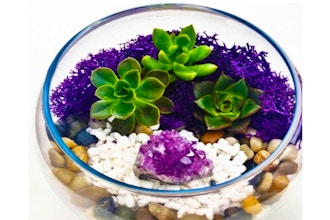 Plant Nite: Natural Stones with Amethyst (Ages 6+)